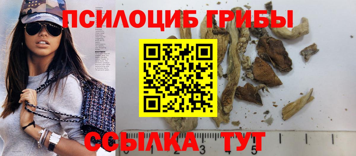 Галлюциногенные грибы Psilocybine cubensis Полысаево
