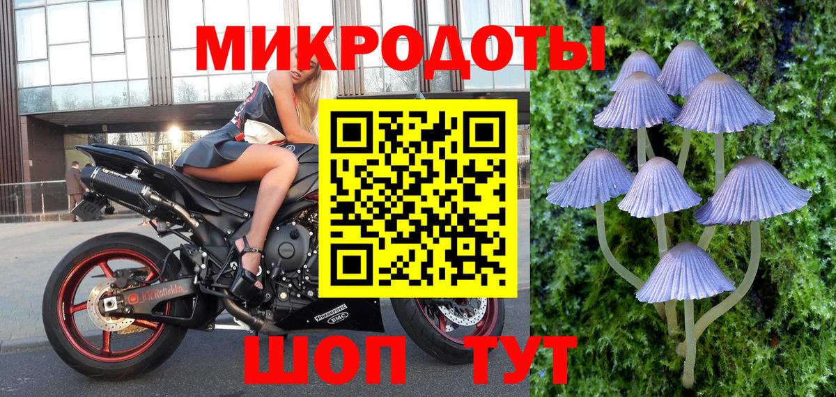 Полысаево  Галлюциногенные грибы Cubensis  Галлюциногенные грибы мицелий  Вход с VPN 